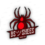 BS_Shees Gaming