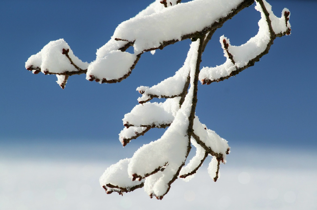 winter patio Toronto