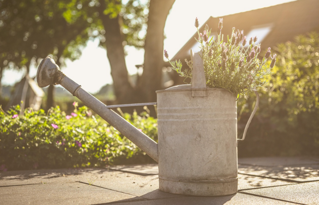 garden watering can on pavers